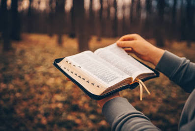 Understanding the Demands of Success